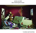 Sonic Youth: Destroyed Room - CD