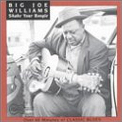Big Joe Williams: Shake Your Boogie  ( CD )