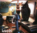 Woods: At Rear House  ( CD )