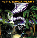 10 Ft. Ganja Plant: Hillside Airstrip - VINYL