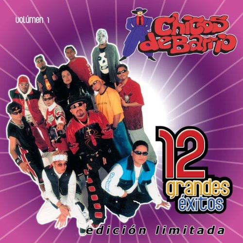 Chicos de Barrio: Vol. 1-12 Grandes Exitos - CD
