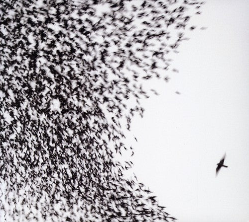 Wilco: Sky Blue Sky  ( CD )