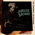 Junior Brown: 12 Shades of Brown  ( CD )