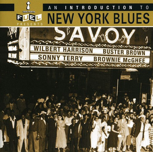 Various Artists: Intro to New York Blues / Various  ( CD )