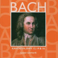 Gustav Leonhardt & Harnoncourt: Vol. 5-Cantates  ( CD )