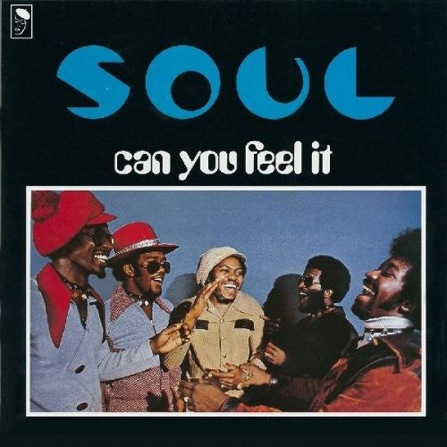 Thesoul: Can You Feel It? - VINYL