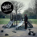 Wiley: Playtime Is Over  ( CD )