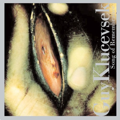 Guy Klucevsek: Song of Remembrance - CD