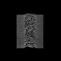 Joy Division: Unknown Pleasures - CD