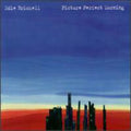 Edie Brickell: Picture Perfect Morning - CD