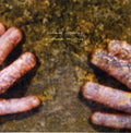Richard Youngs: Autumn Response  ( CD )