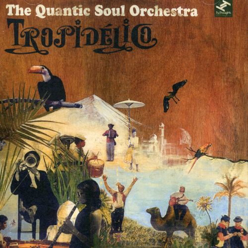The Quantic Soul Orchestra: Tropidelico - CD