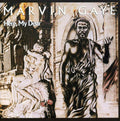 Marvin Gaye: Here My Dear - CD