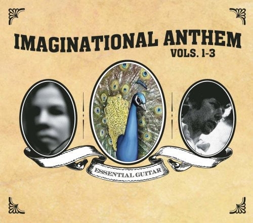Various Artists: Imaginational Anthem, Vol. 1-3  ( CD )