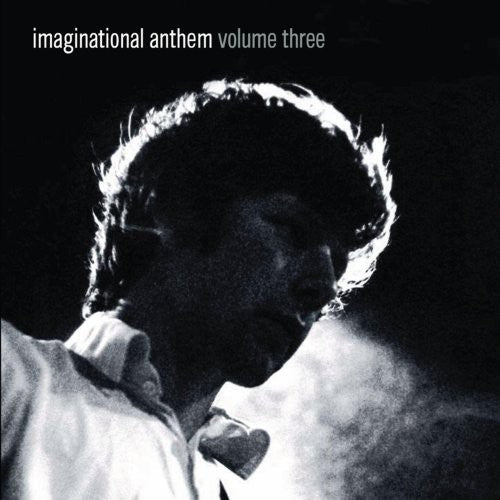 Various Artists: Imaginational Anthem, Vol. 3  ( CD )