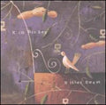 Kim Richey: Bitter Sweet  ( CD )
