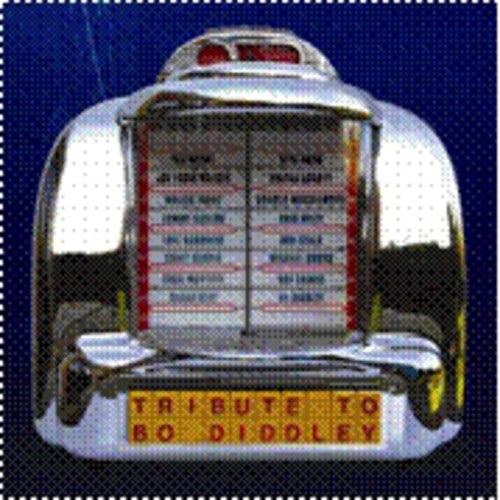 Various Artists: Tribute to Bo Diddley  ( CD )