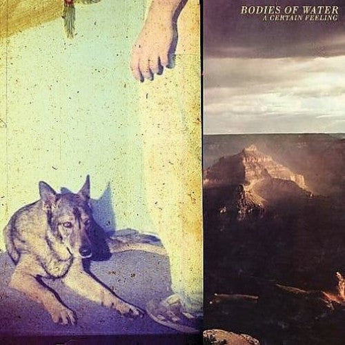 Bodies of Water: A Certain Feeling  ( CD )