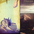 Bodies of Water: A Certain Feeling - Vinyl