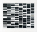Ryoji Ikeda: Test Pattern  ( CD )