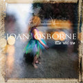 Joan Osborne: Little Wild One - CD