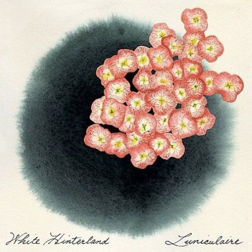 White Hinterland: Luniculaire  ( CD )