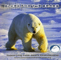 Blues for the Bears: Blues for the Bears  ( CD )
