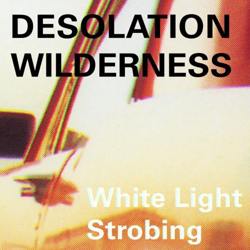 Desolation Wilderness: White Light Strobing  ( CD )