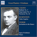 Ignaz Friedman, Complete Recor: Ignaz Friedman, Complete Recor  ( CD )