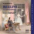 V. Bellini: Introduction to Sonnambula: Opera Explained  ( CD )