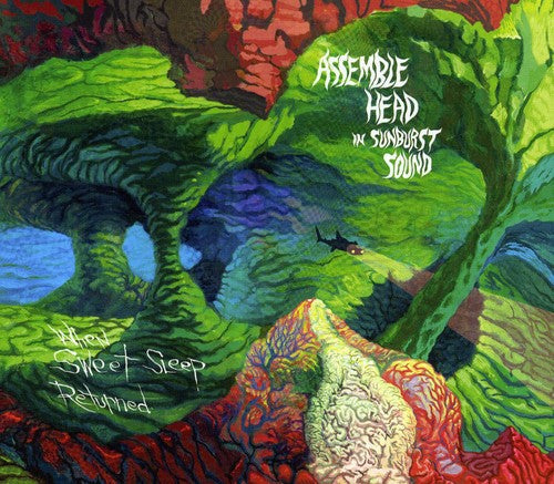 Assemble Head in Sunburst Sound: When Sweet Sleep Returned - CD