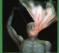Bruce Cockburn: Stealing Fire  ( CD )