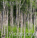Numinous: Vipassana  ( CD )