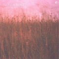 Nostalgia 77: Everything Under the Sun - CD
