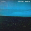 Roedelius: After the Heat - Vinyl