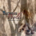 Deborah Martin & Erik Wollo: Between Worlds  ( CD )