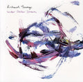 Richard Youngs: Under Stellar Stream  ( CD )