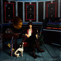 Julian Casablancas: Phrazes for the Young - VINYL