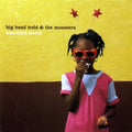 Big Head Todd & the Monsters: Beautiful World - CD