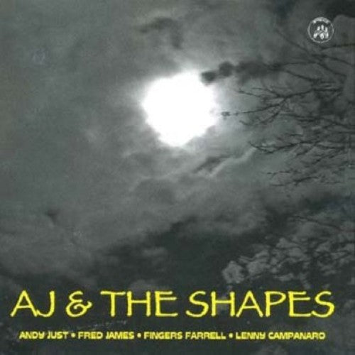 AJ & the Shapes: Andy Just and The Shapes  ( CD )