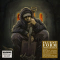 Fluent Form: Furnace  ( CD )
