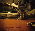 Bernard Adamus: Brun  ( CD )