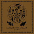 Jack Rose: Luck in the Valley  ( CD )