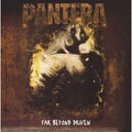 Pantera - Far Beyond Driven ( VINYL )