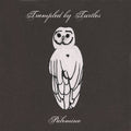 Trampled by Turtles: Palomino - VINYL
