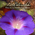 Peter Ostroushko: When the Last Morning Glory Blooms  ( CD )