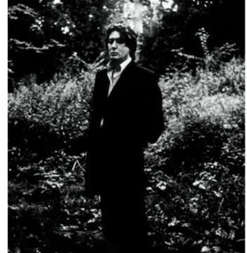 Alain Bashung: L'imprudence - VINYL