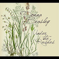 Donna Beasley: Under the Rushes  ( CD )