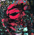 Warpaint: The Fool - Vinyl