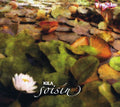 Kila: Soisin  ( CD )
